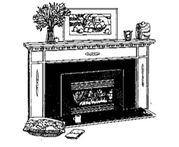 Energy Vented Decorative Gas Fireplace Insert (U24) U24